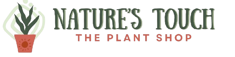 naturestouch.pk-