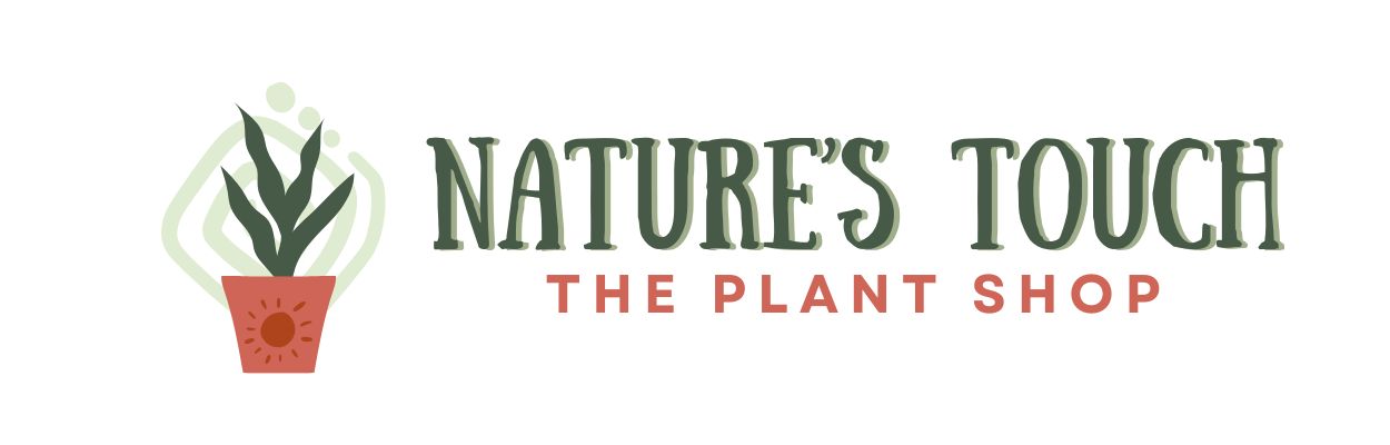 naturestouch.pk-